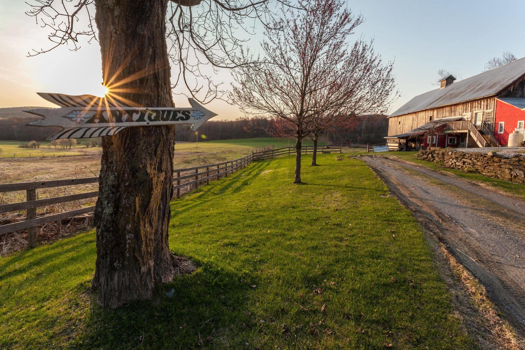 Inn At Buck Hollow Farm
