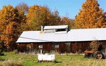 At Buck Hollow Farm 2*
